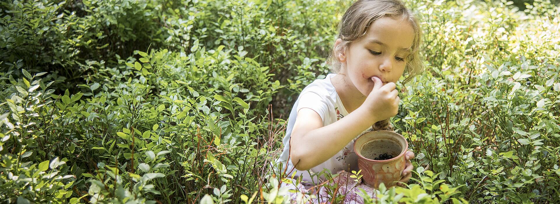Geschmack der Kindheit - Naturgut Lassen Beeren pflücken