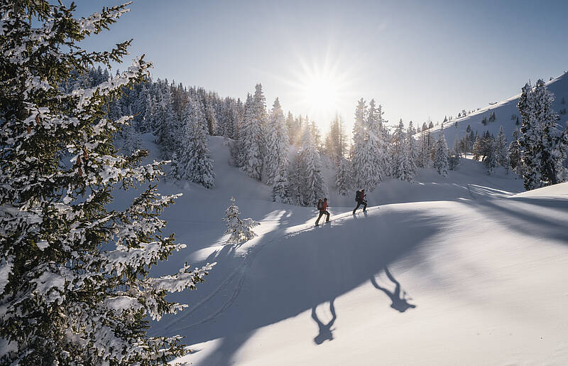 Region Villach Winter NaturparkDobratsch Winter StefanLeitner 2 