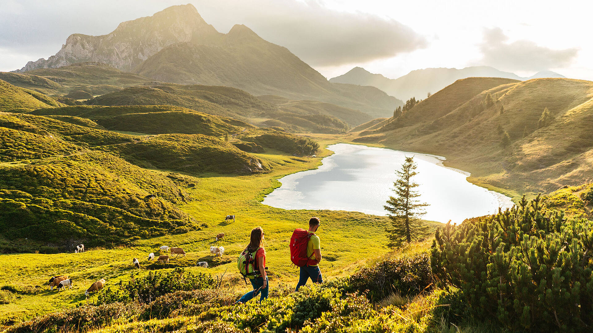 Karnischer Höhenweg Zollnersee